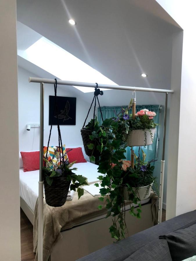 Insidehome Apartments - La Casita De Ursula 帕伦西亚 外观 照片